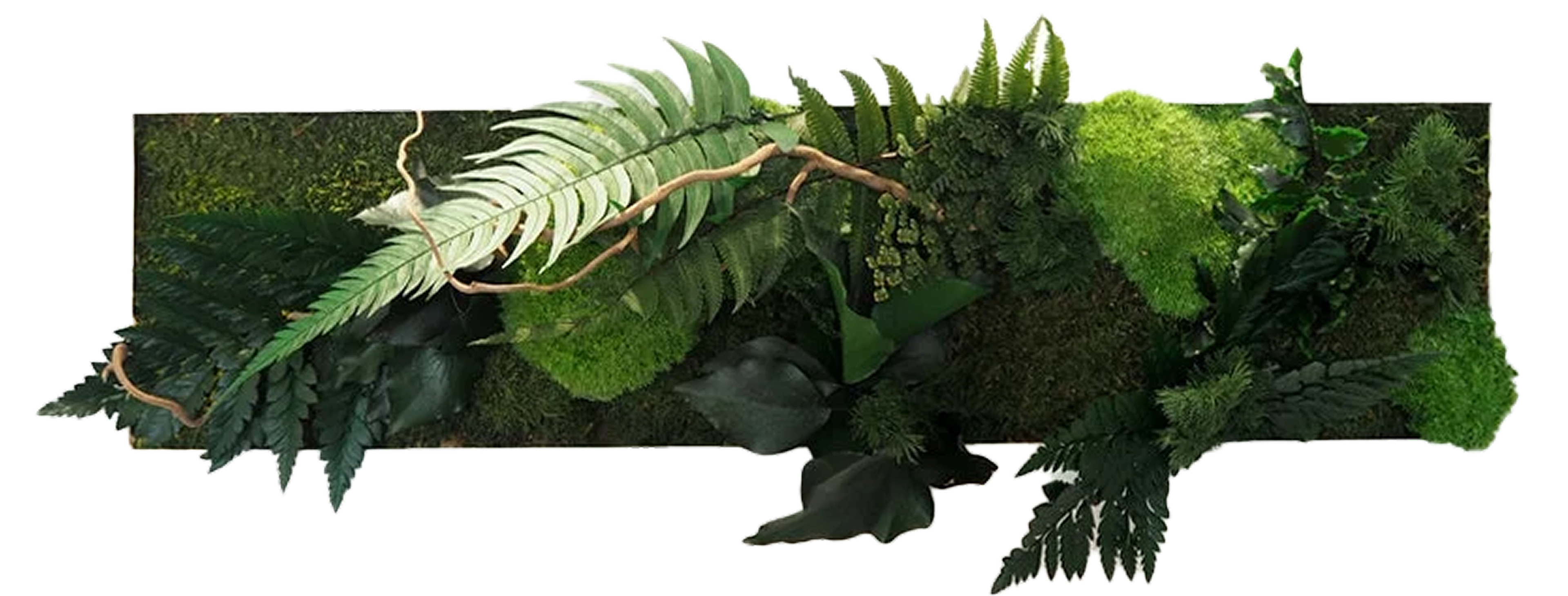 Lush green interior wall