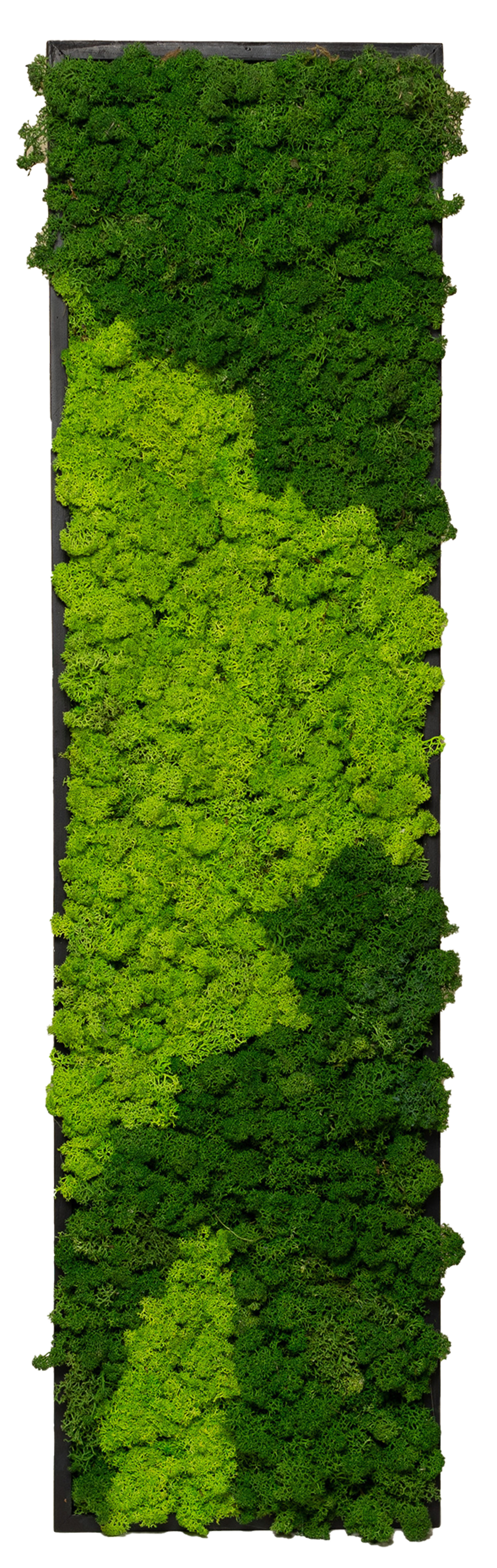 Green wall detail