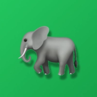 Elephant in the Room