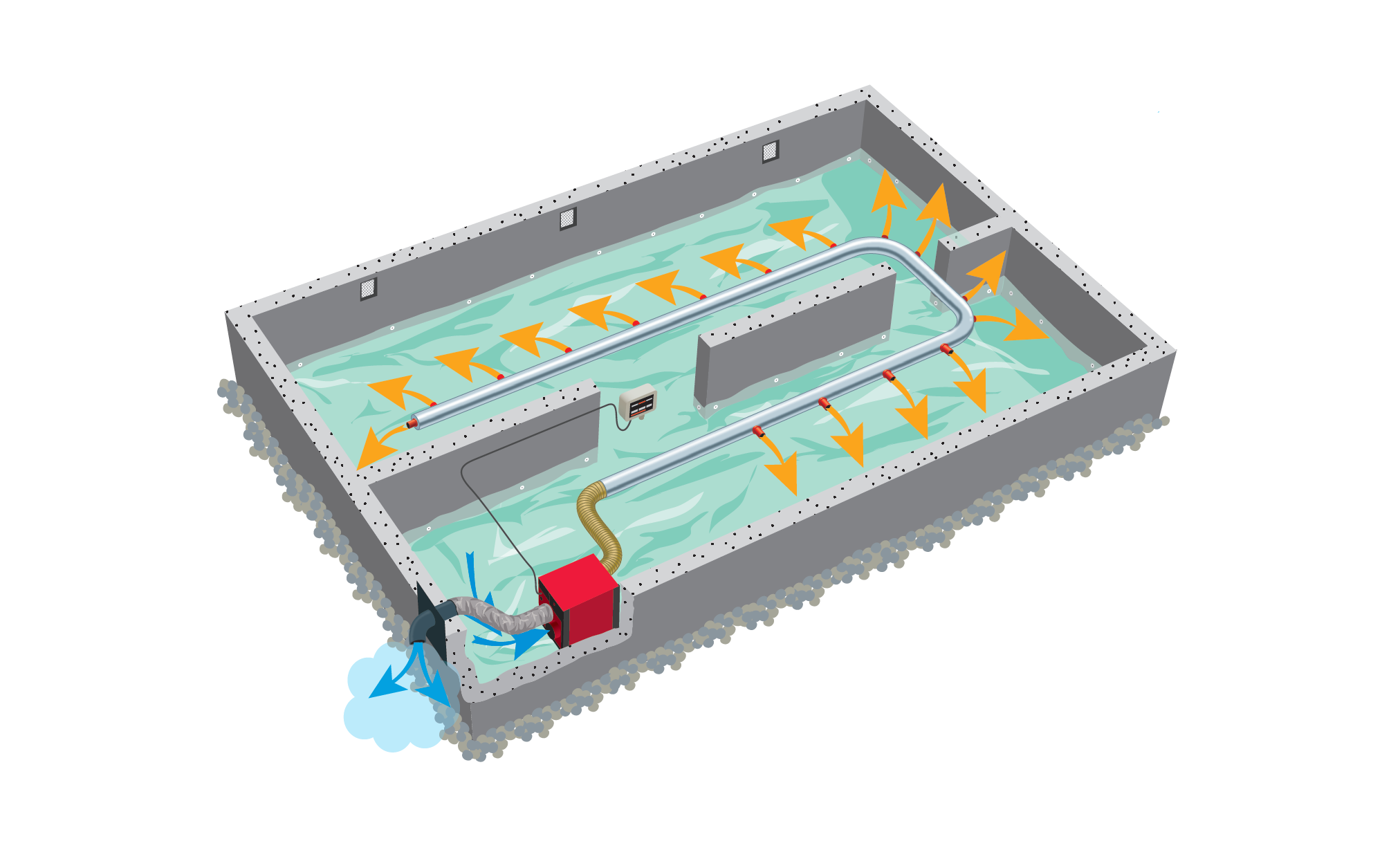 Krypgrund beskrivning