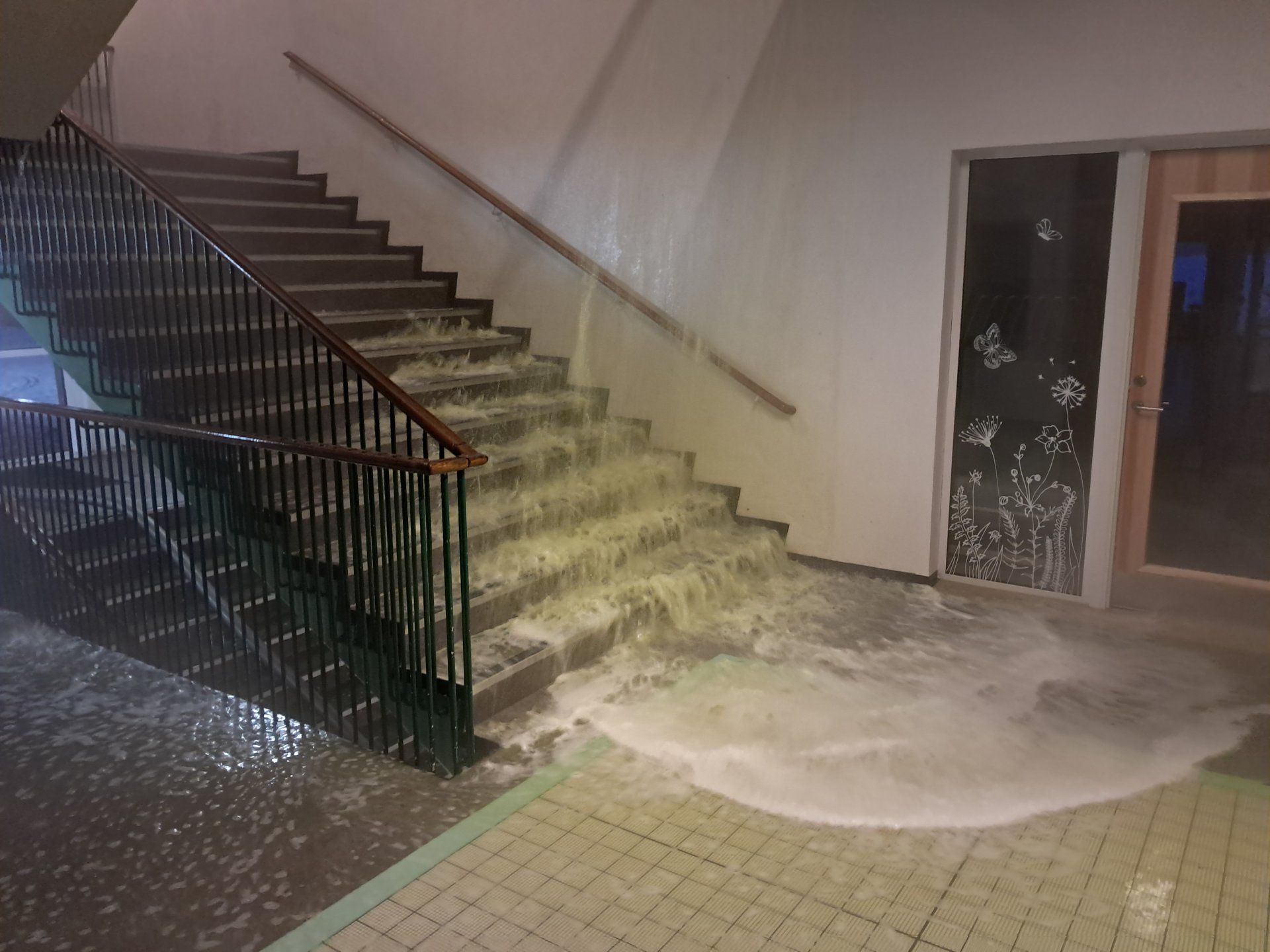 Main image of this section