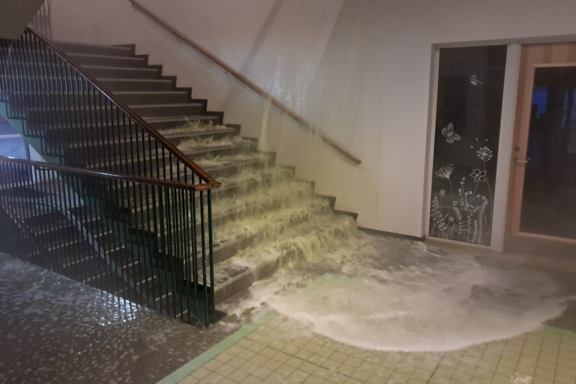 Main image of this section