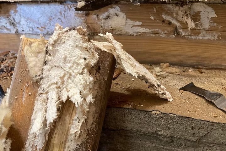 Main image of this section