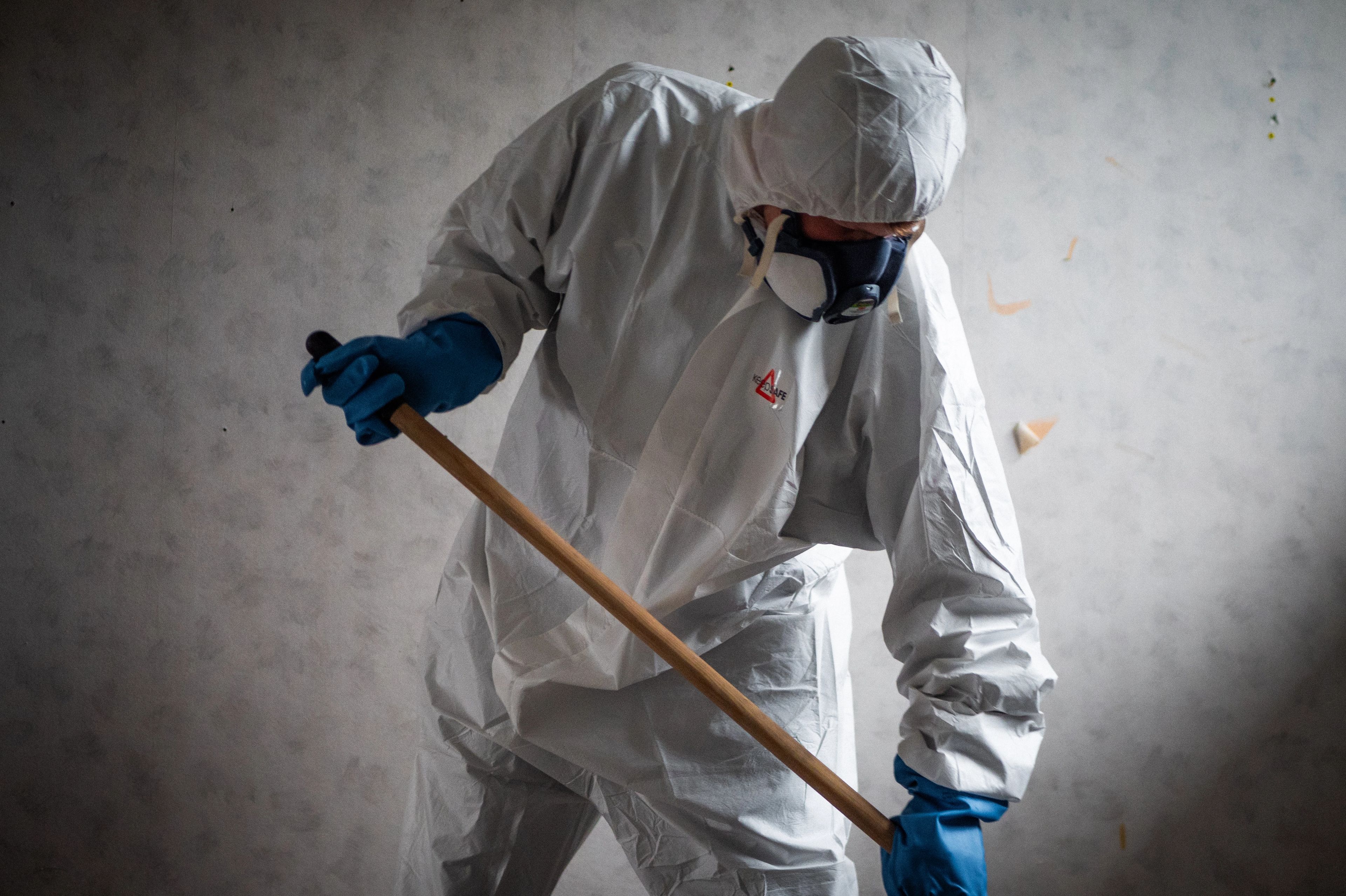 Main image of this section