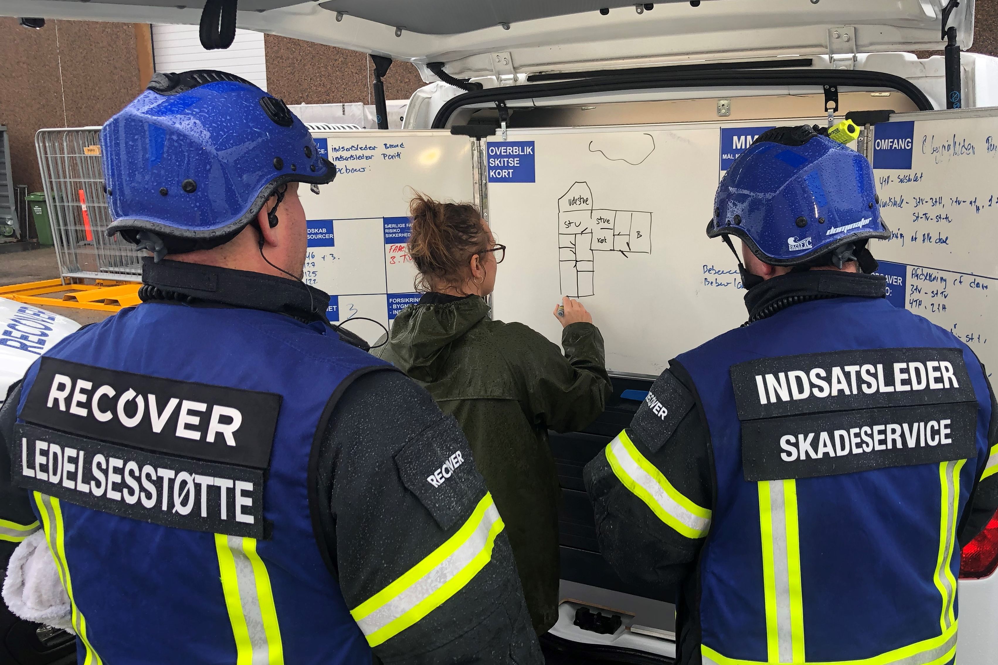 Main image of this section