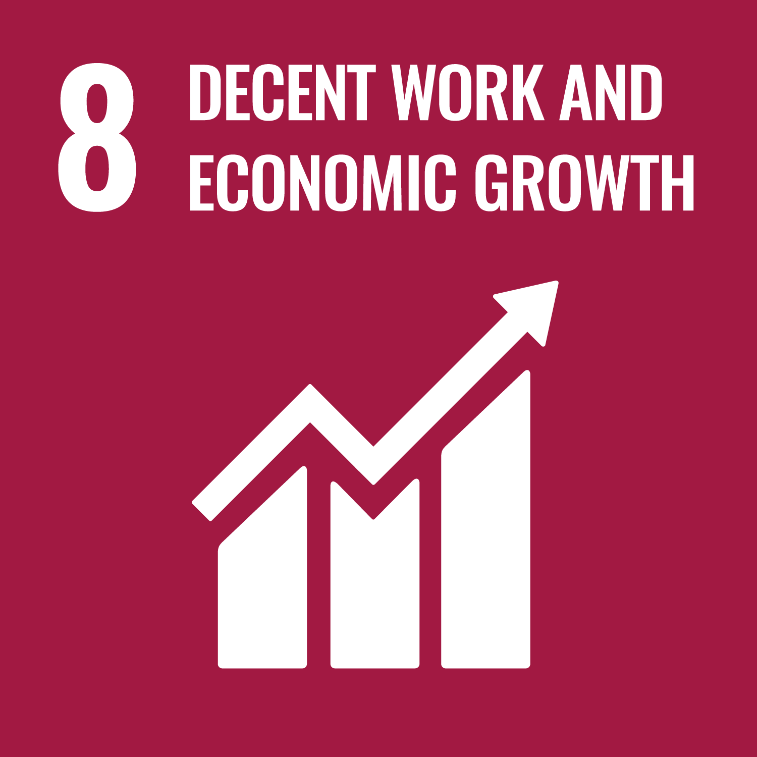 Picture of SDG 8 – Decent Work and Economic Growth