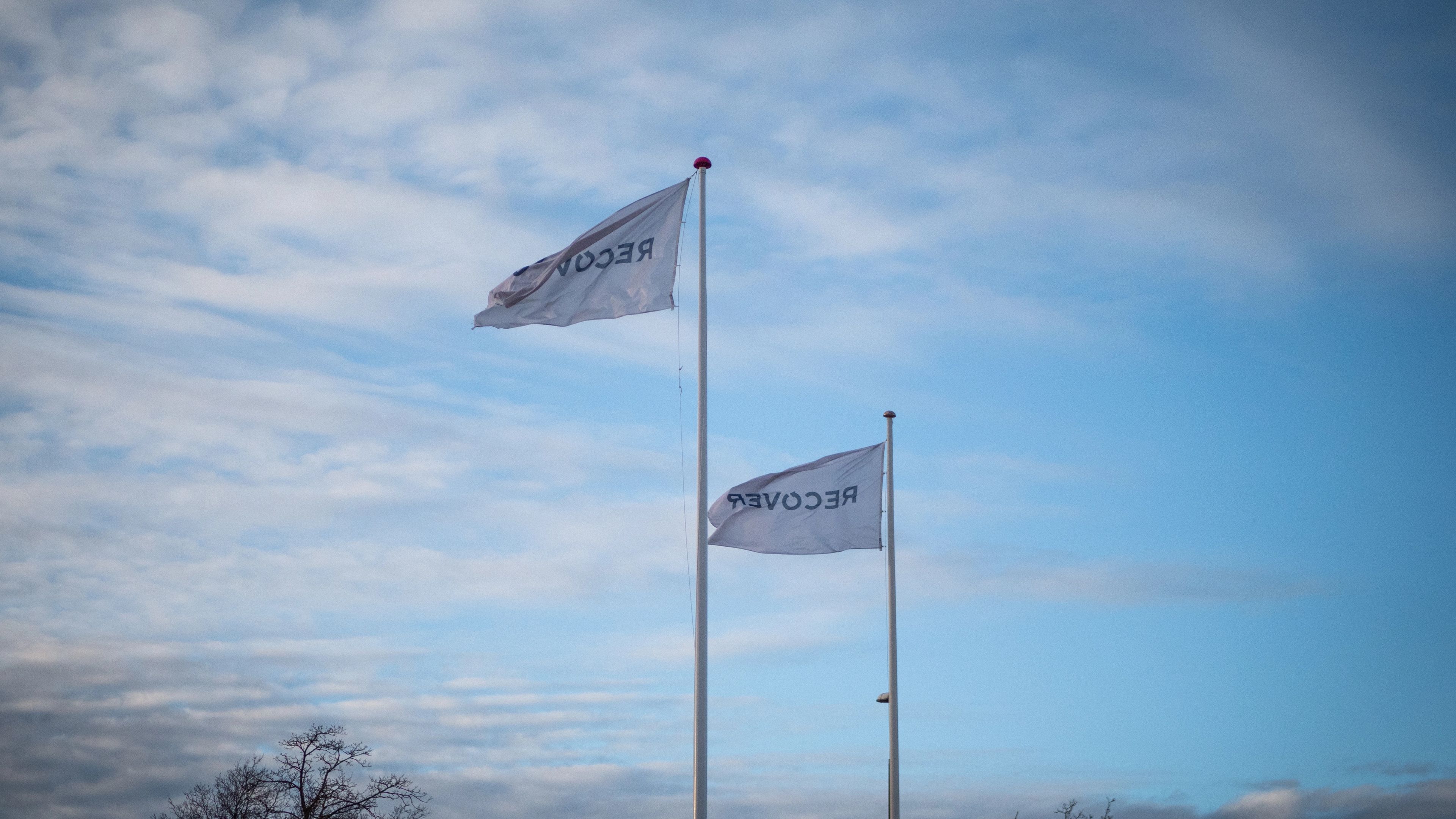 Hvad dækker dit forsikringsselskab?