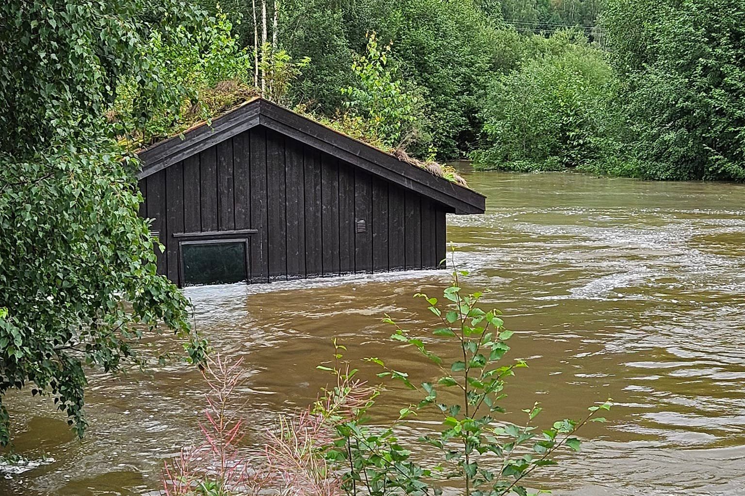 Main image of this section