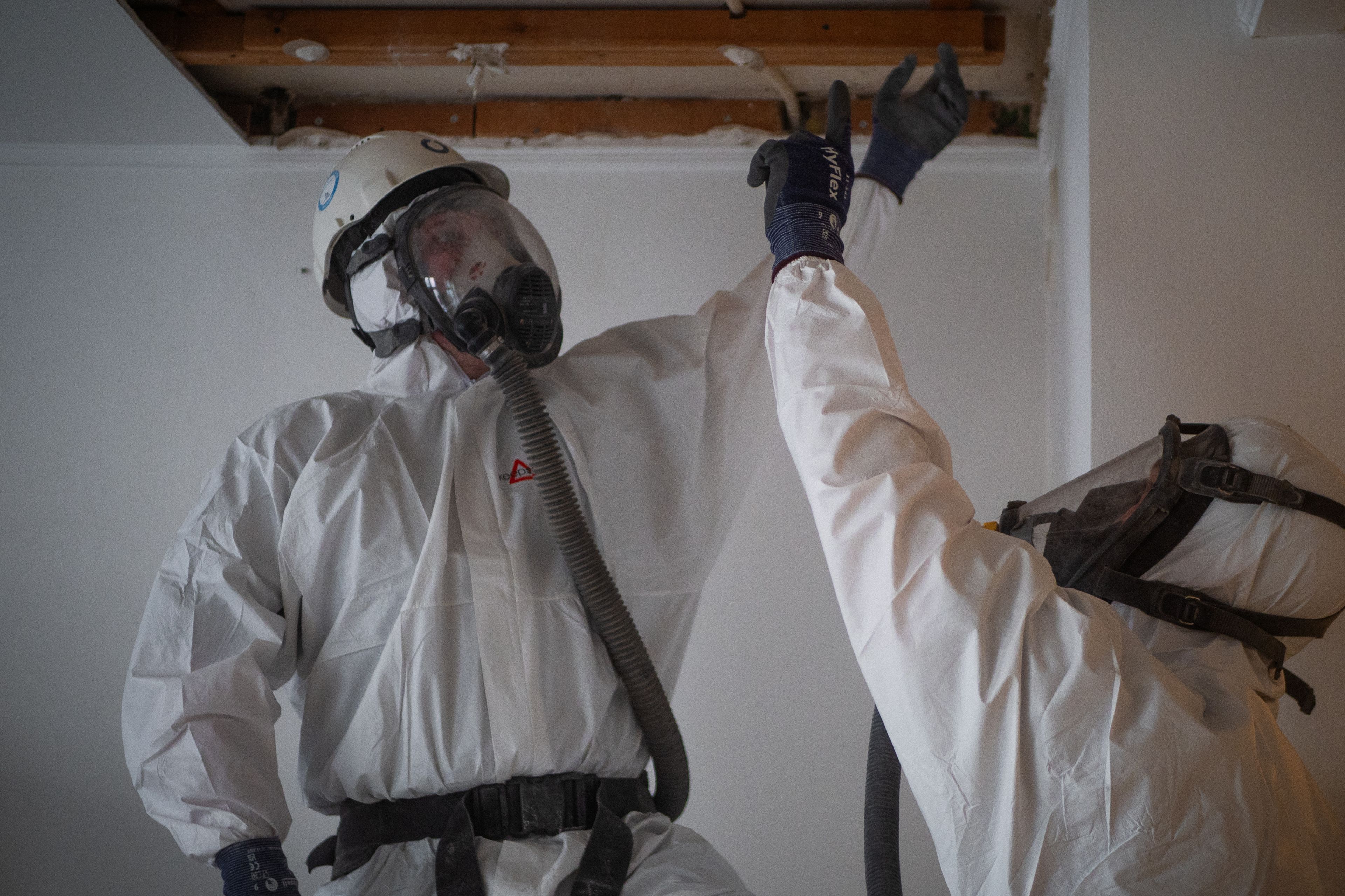 Main image of this section