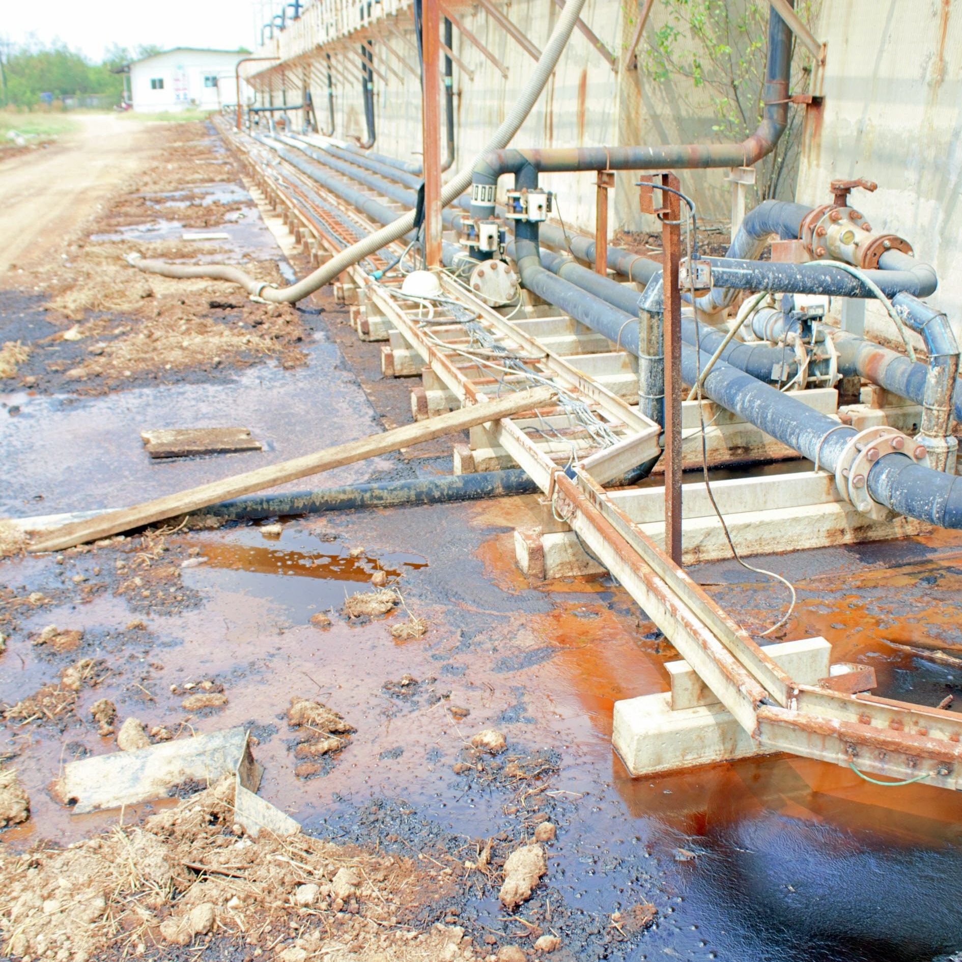 Secondary image of this section