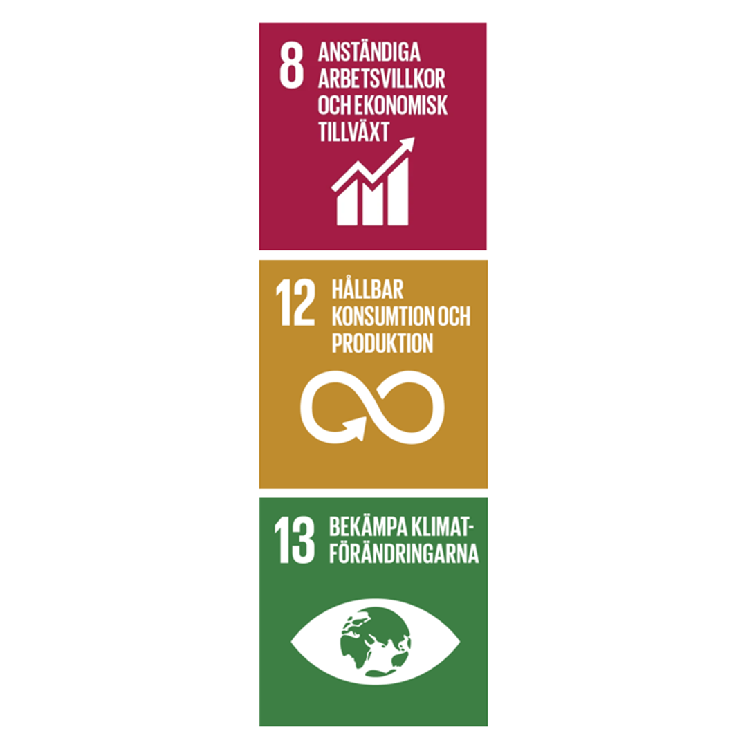 FN:s mål nr 8, 12 och 13