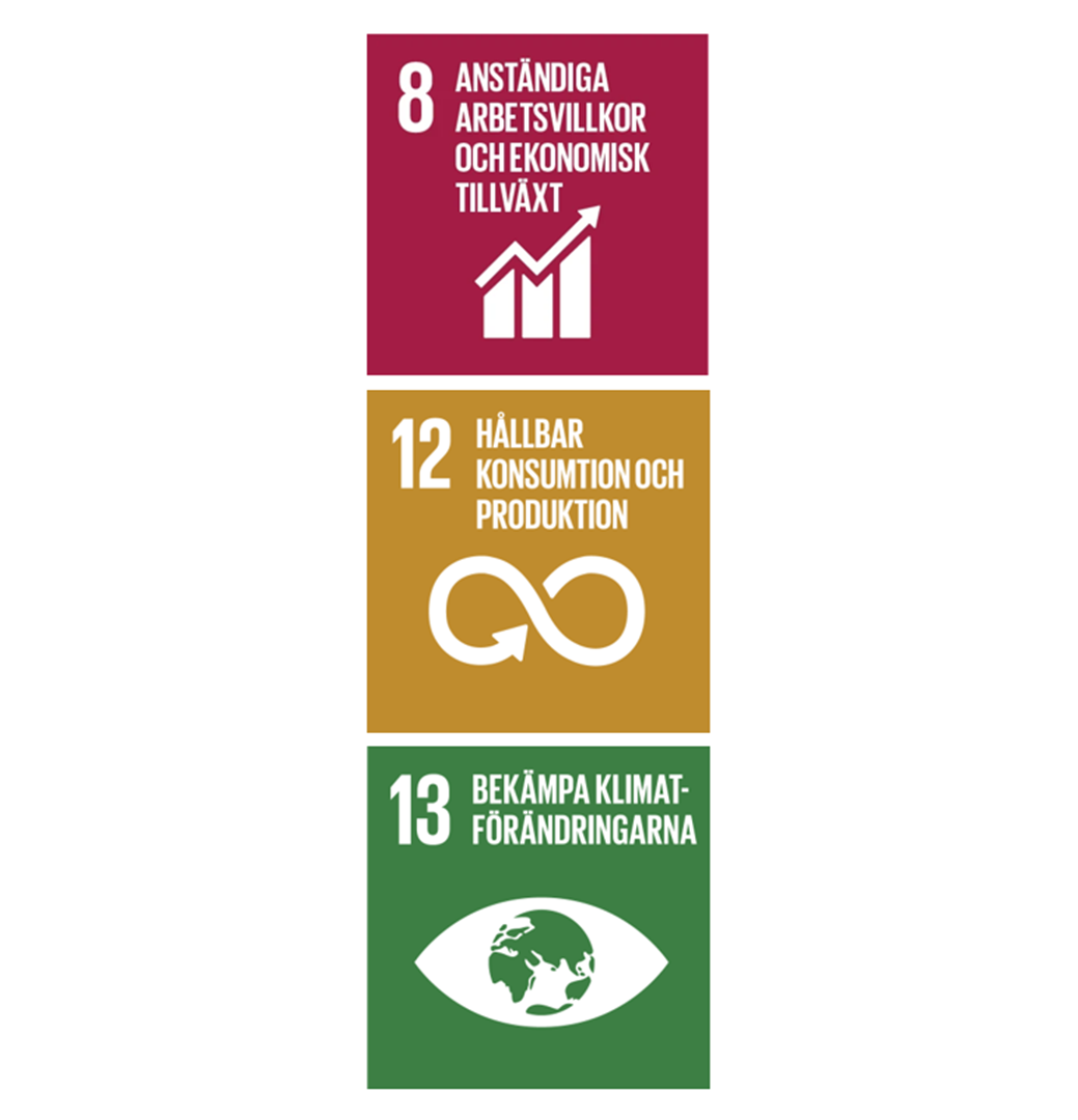 FN:s mål nr 8, 12 och 13
