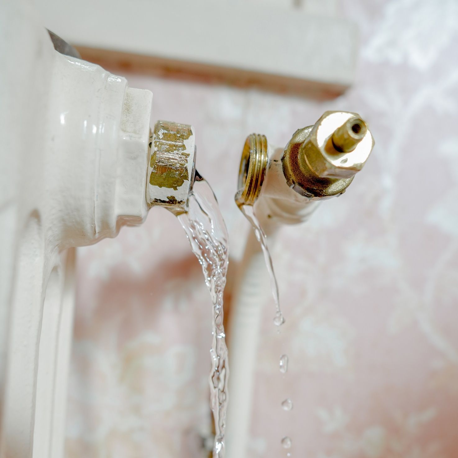 Secondary image of this section