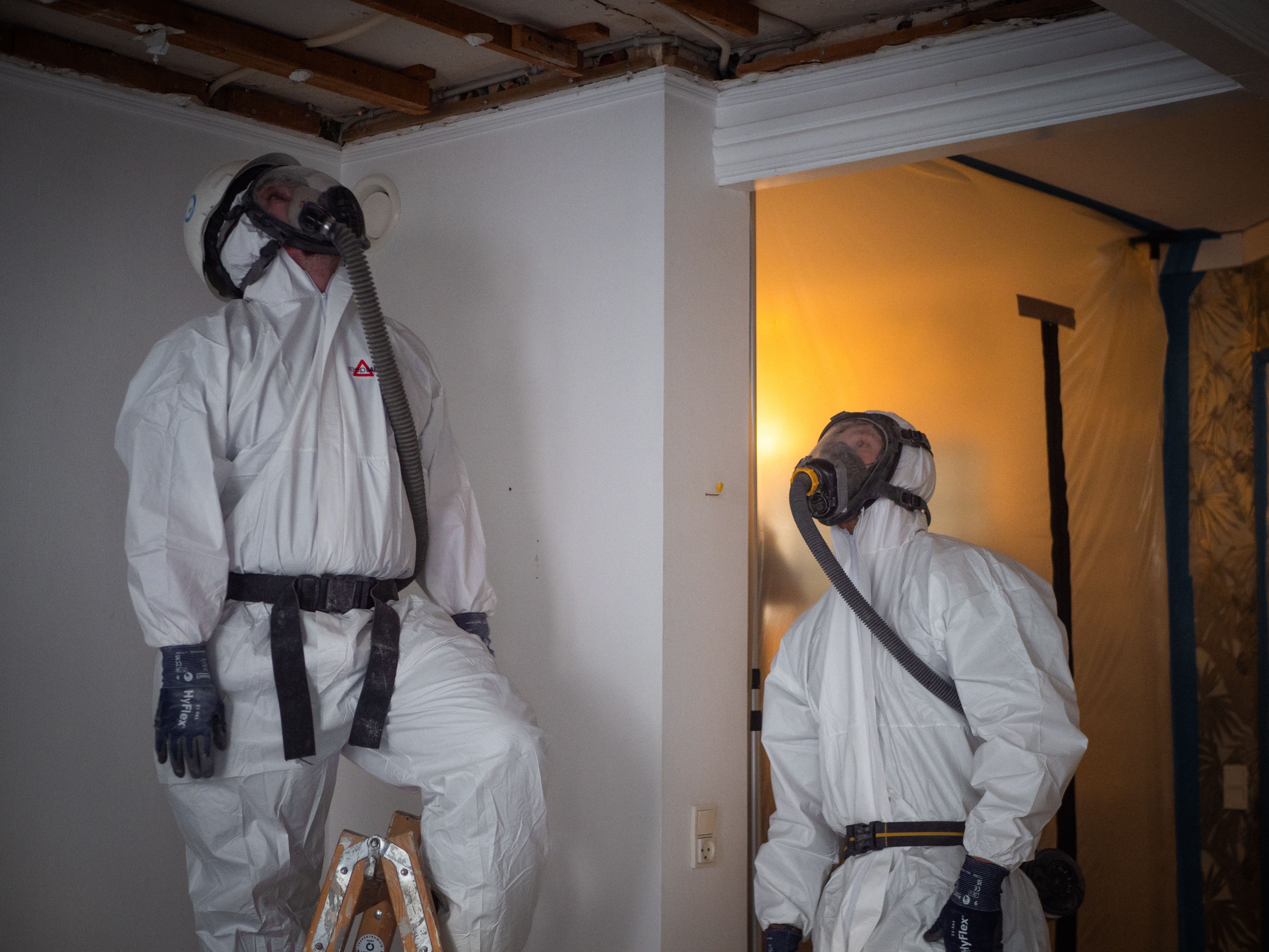 Portfolio header image