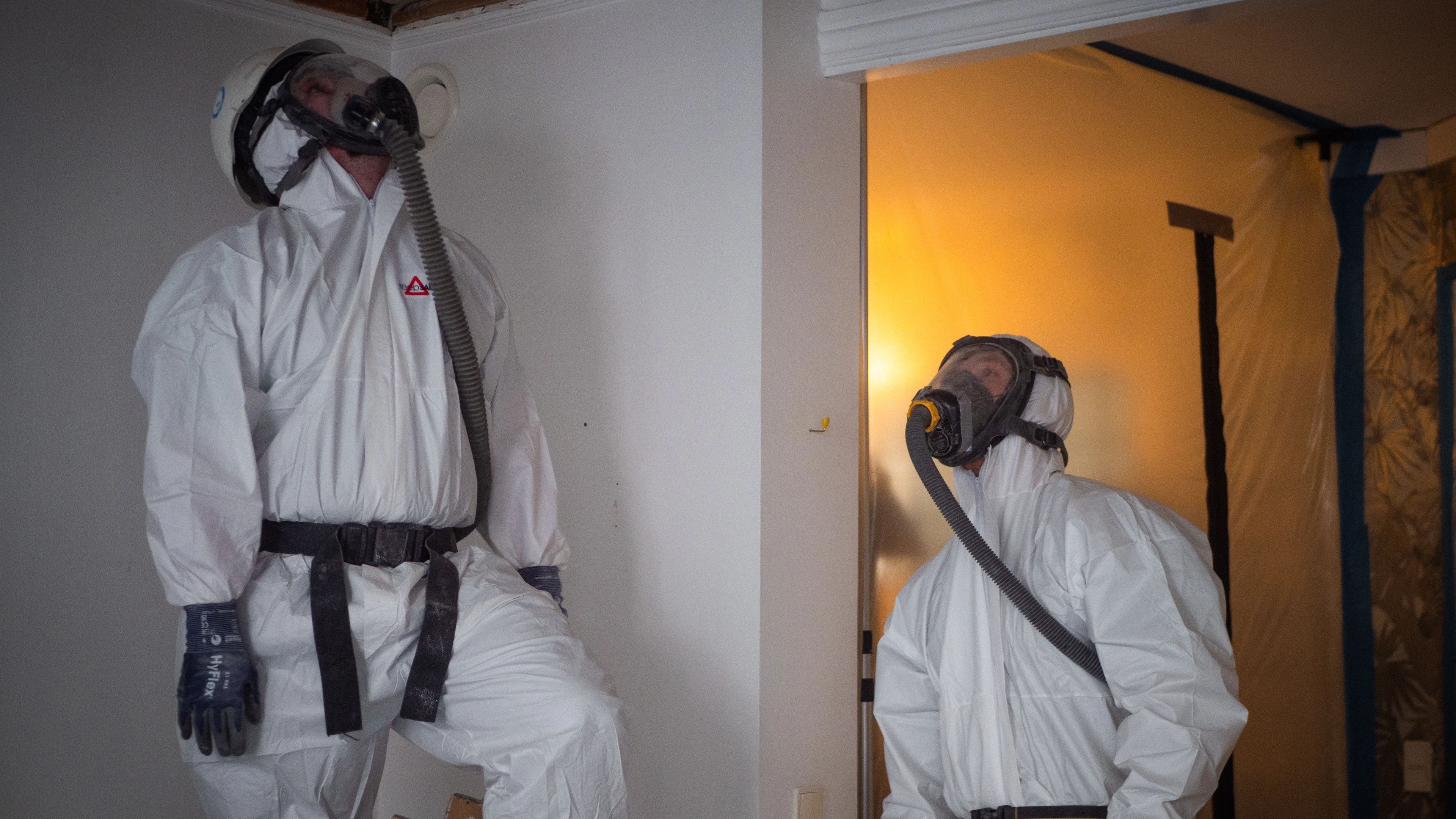 Portfolio header image