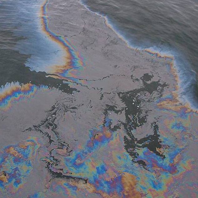 Secondary image of this section