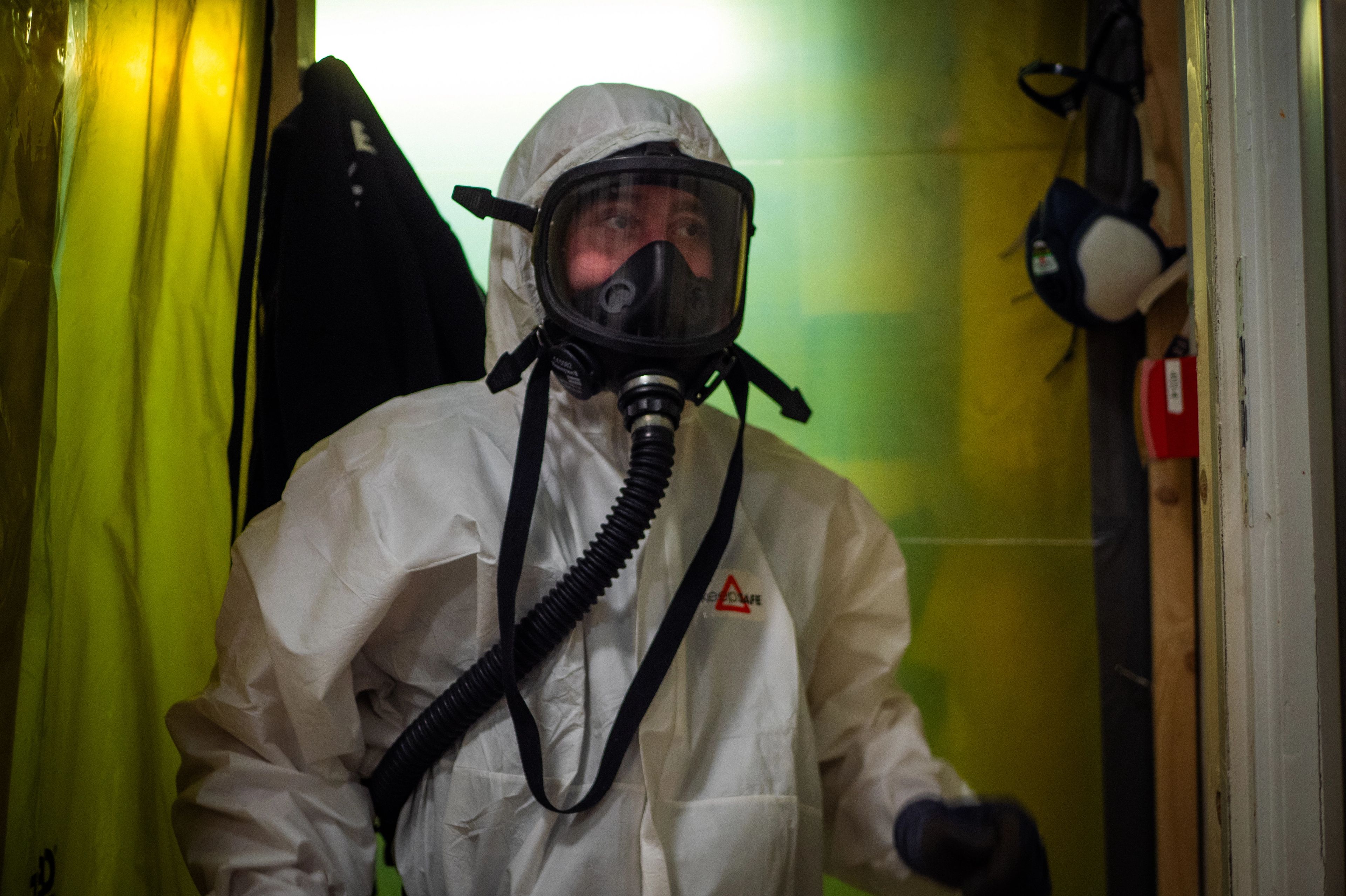 Main image of this section