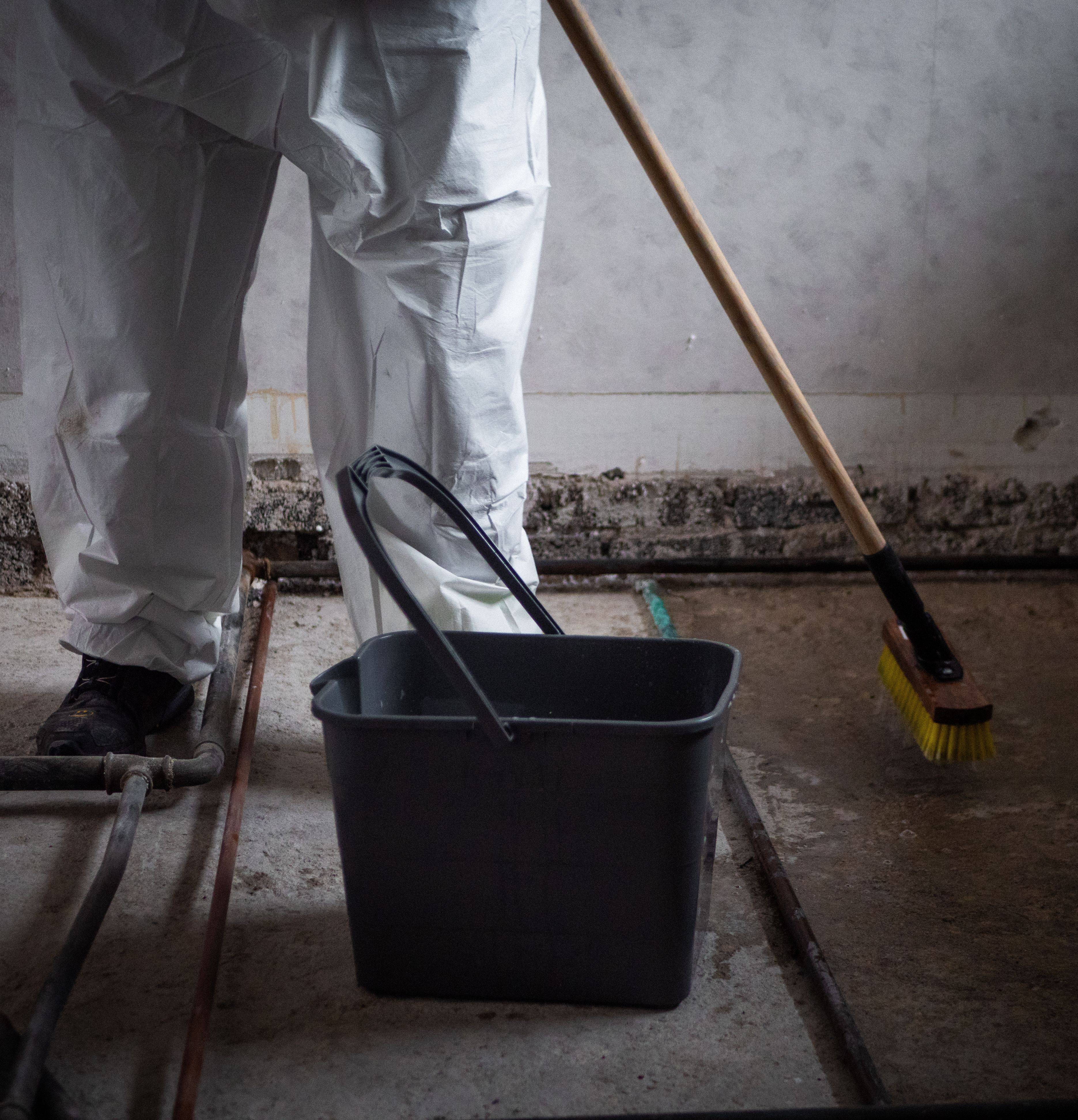 Image related to the text here.