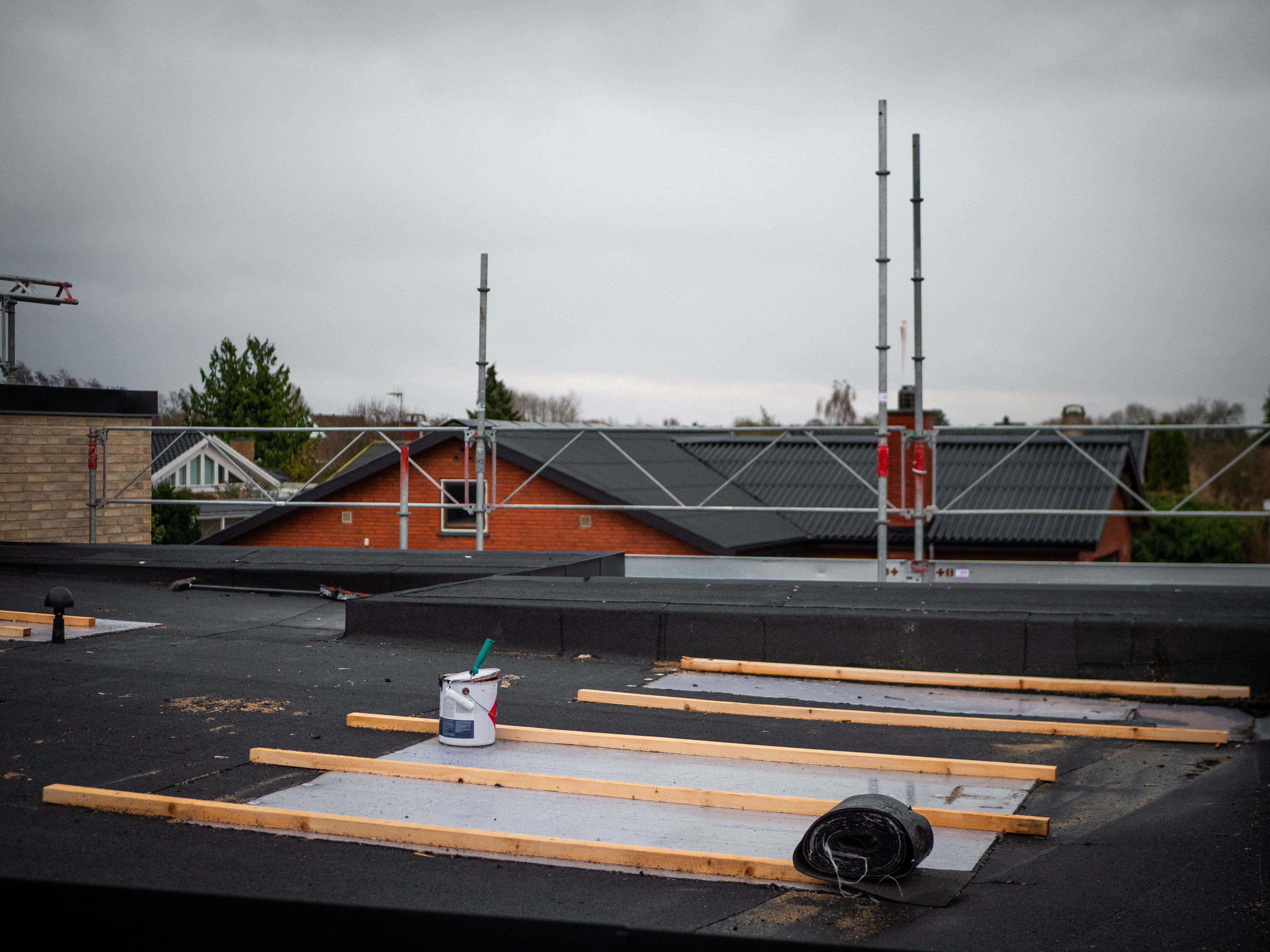 Main image of this section