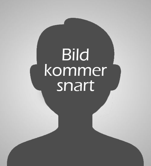 Picture of David Mellåker