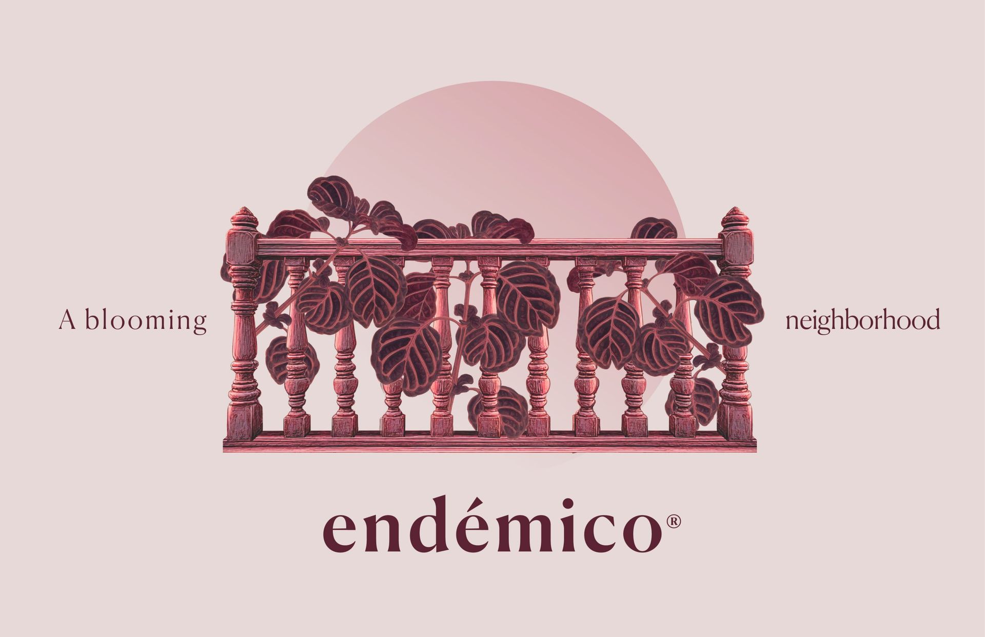 ENDÉMICO 6