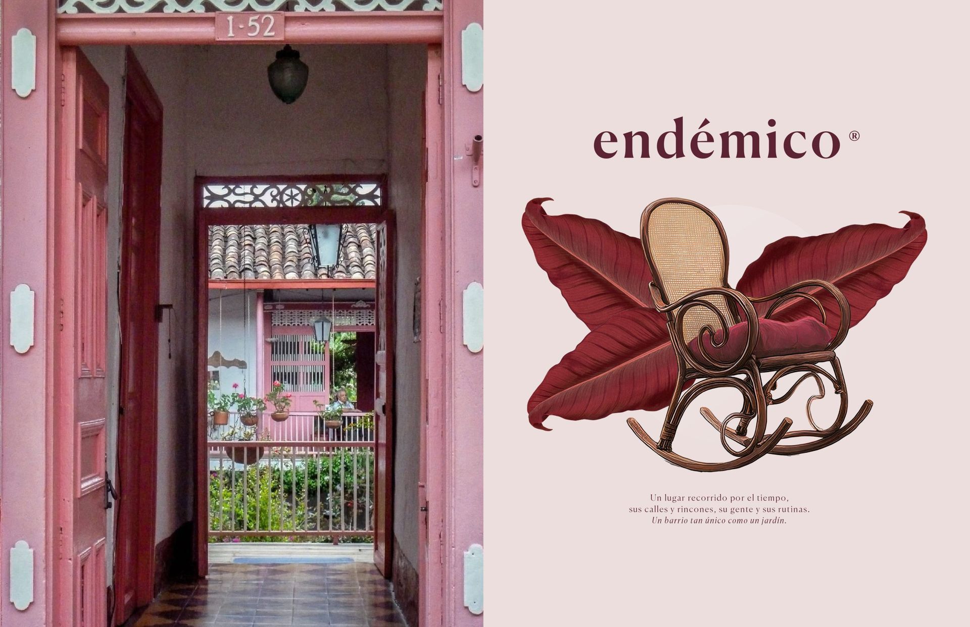 ENDÉMICO 3