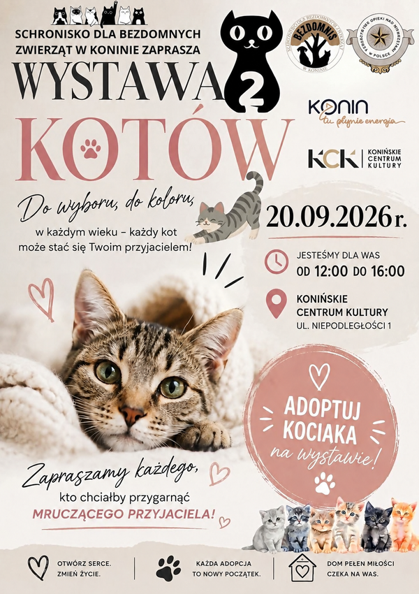 Adoptuj kociaka. Wystawa kotów ze Schroniska