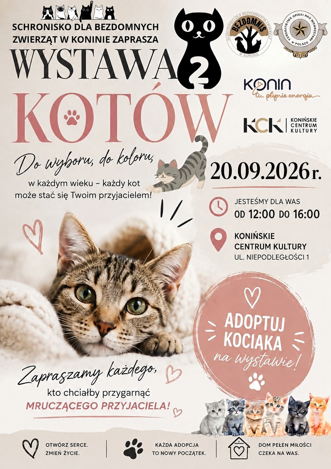 Adoptuj kociaka. Wystawa kotów ze Schroniska