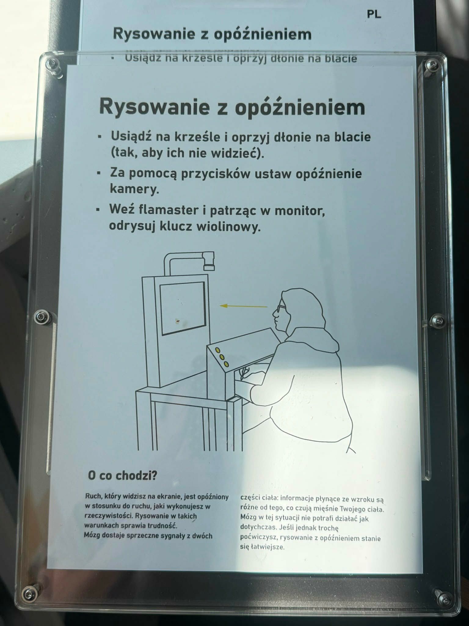 Zdjęcie 7