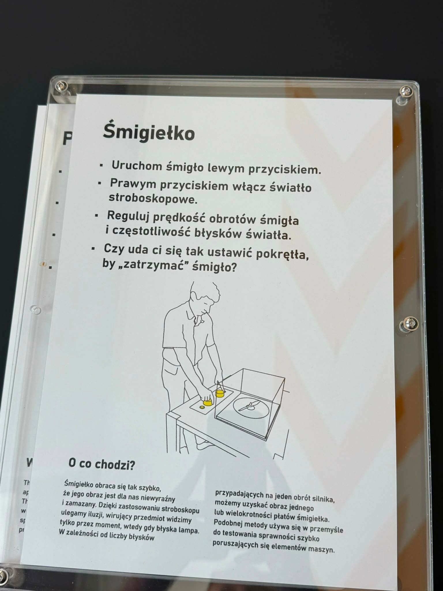 Zdjęcie 8