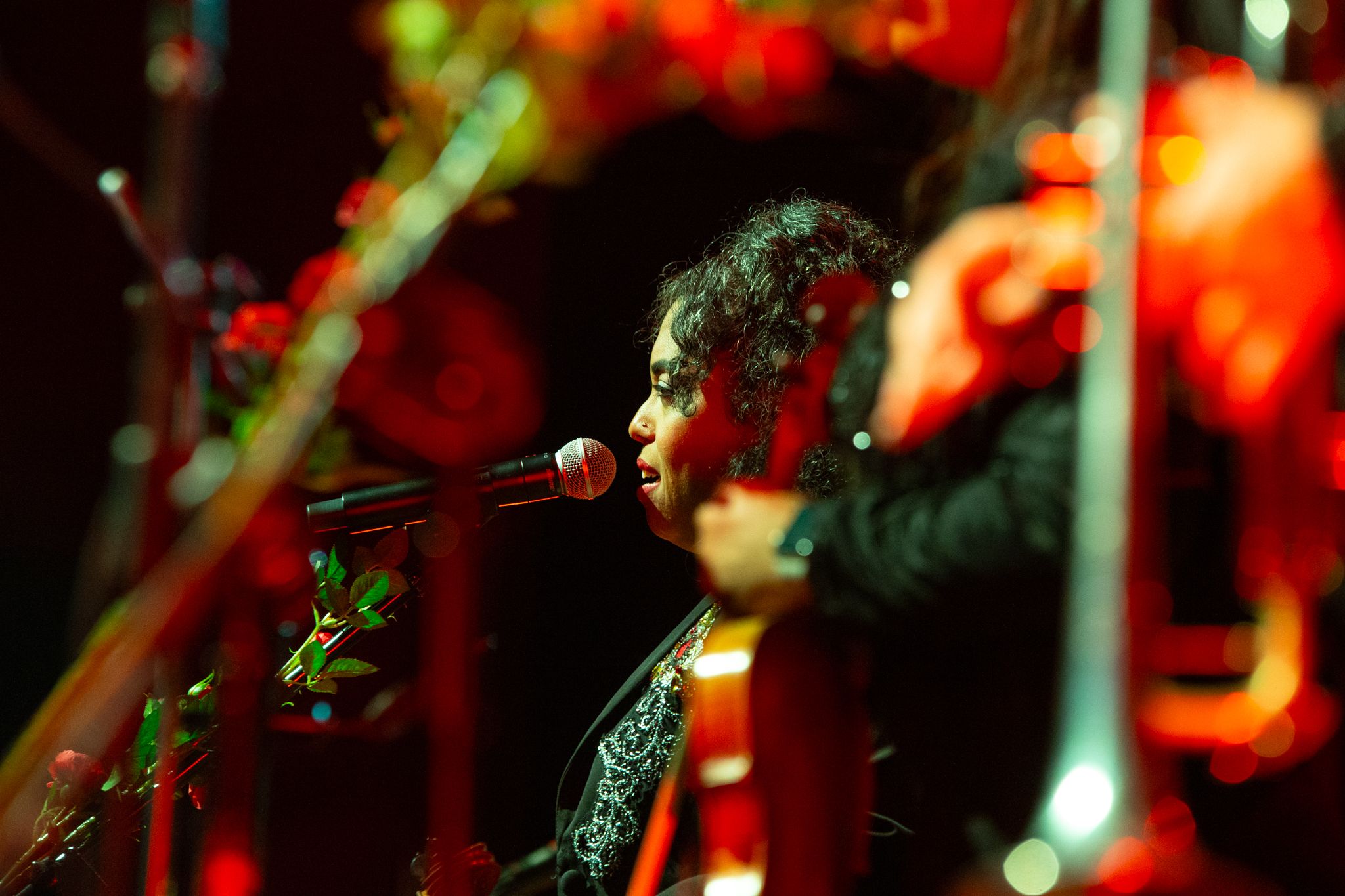 To nie smutni wujowie z wąsami. Koncert Flor de Toloache