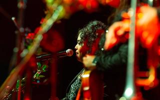 To nie smutni wujowie z wąsami. Koncert Flor de Toloache