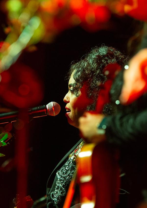 To nie smutni wujowie z wąsami. Koncert Flor de Toloache