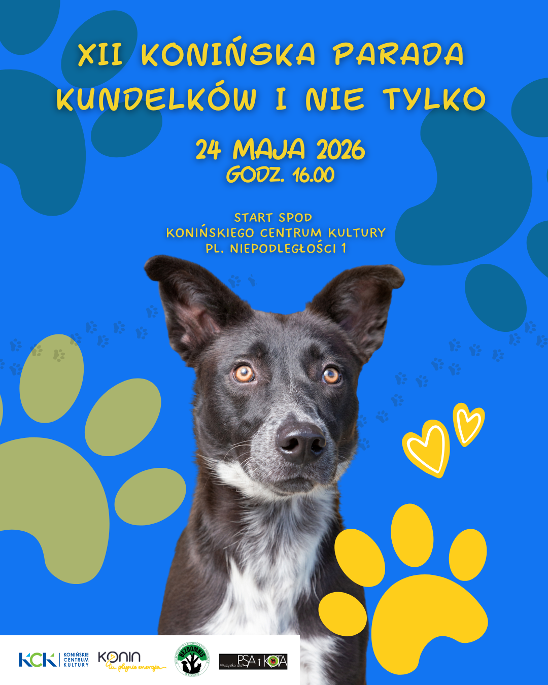 Dwunasta Parada Kundelków i nie tylko!