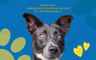 Dwunasta Parada Kundelków i nie tylko!