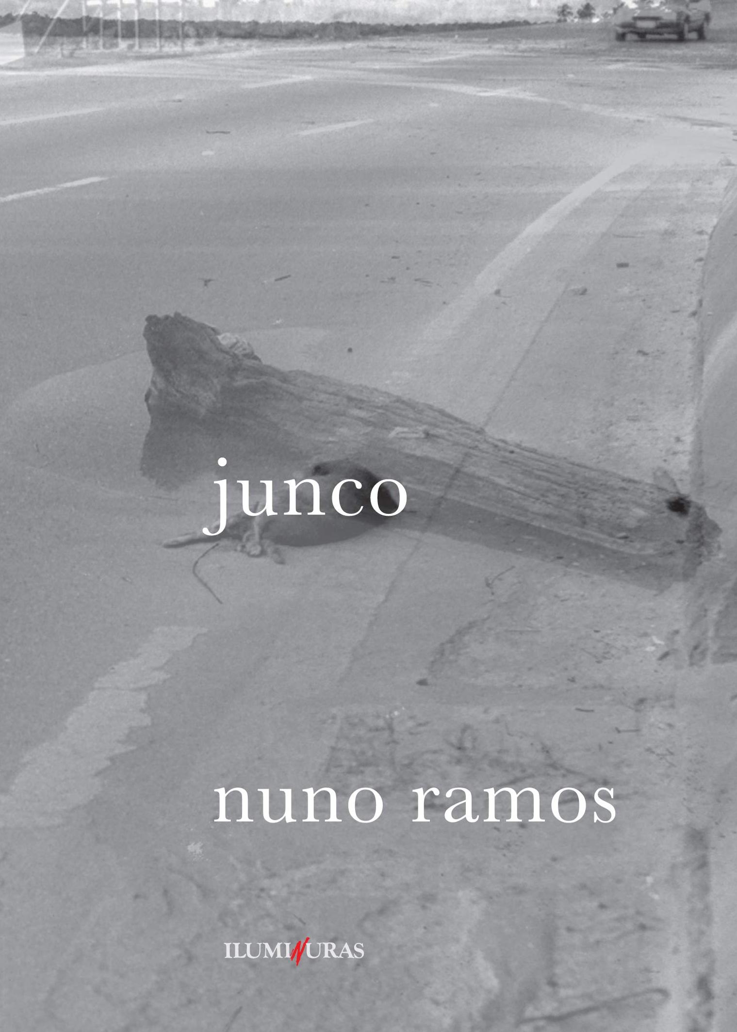 Junco