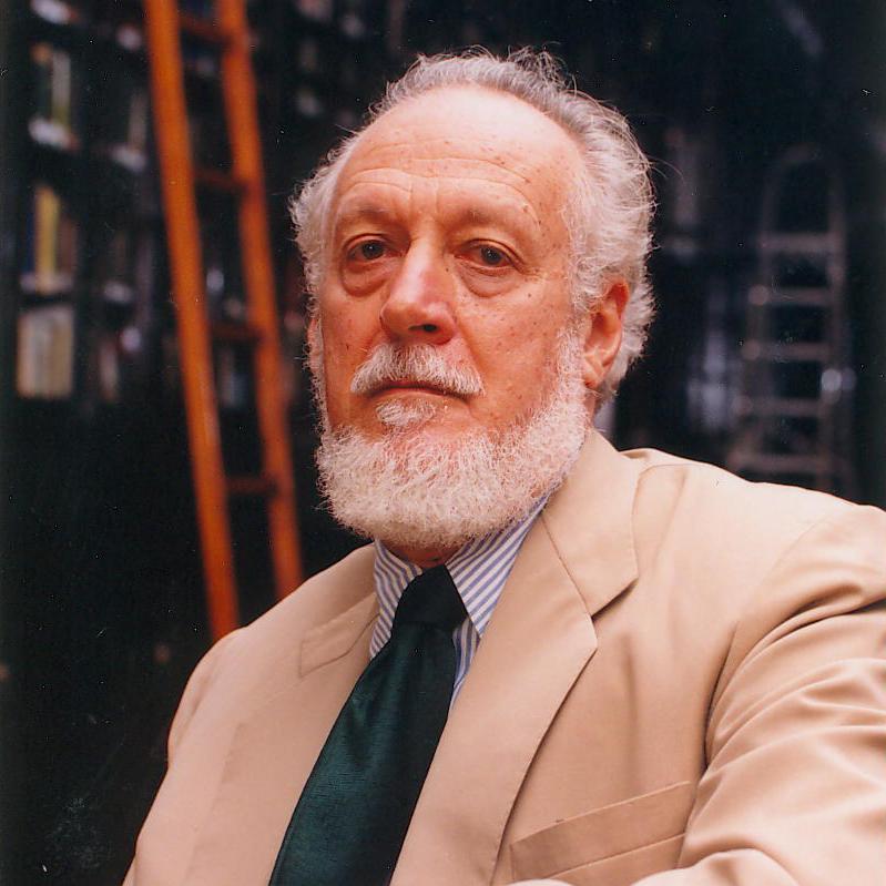 Alberto da Costa e Silva