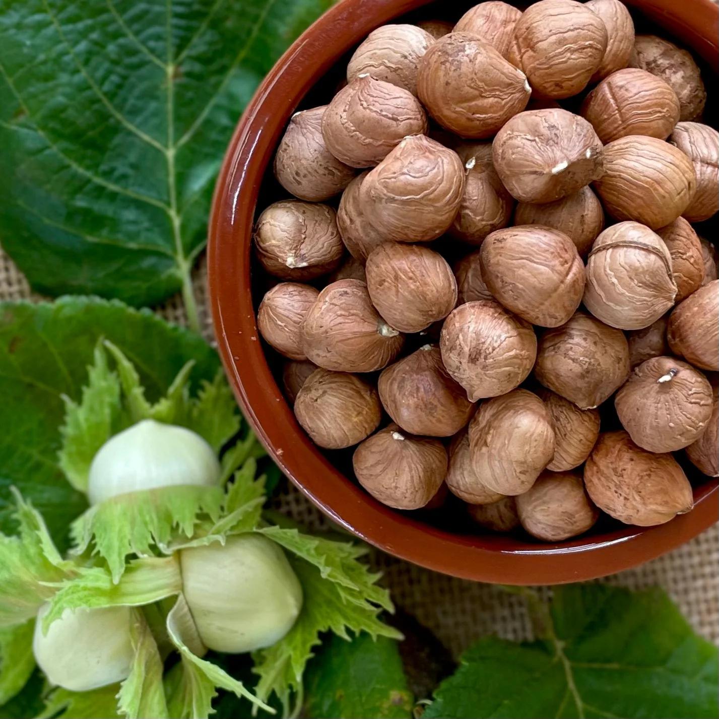 Hazelnuts