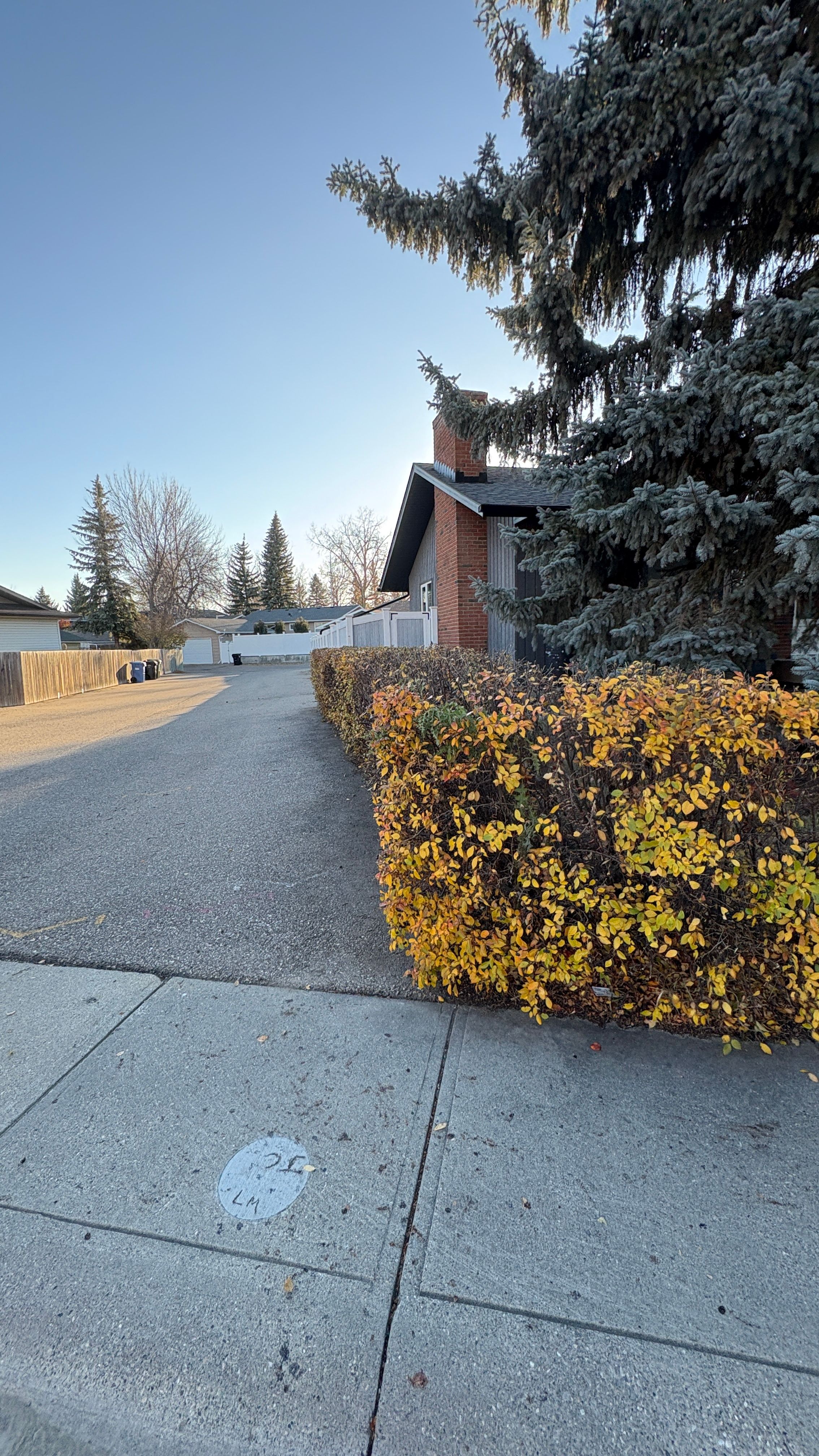 Seasonal Outdoor Services service