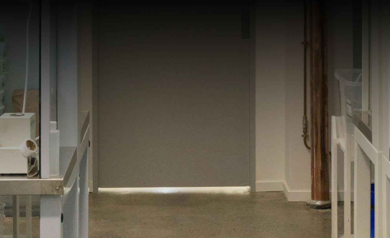 CS NewYorker in West Auckland Commercial Building CS NewYorker in West Auckland Commercial Building