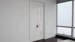 AutoCav Gif