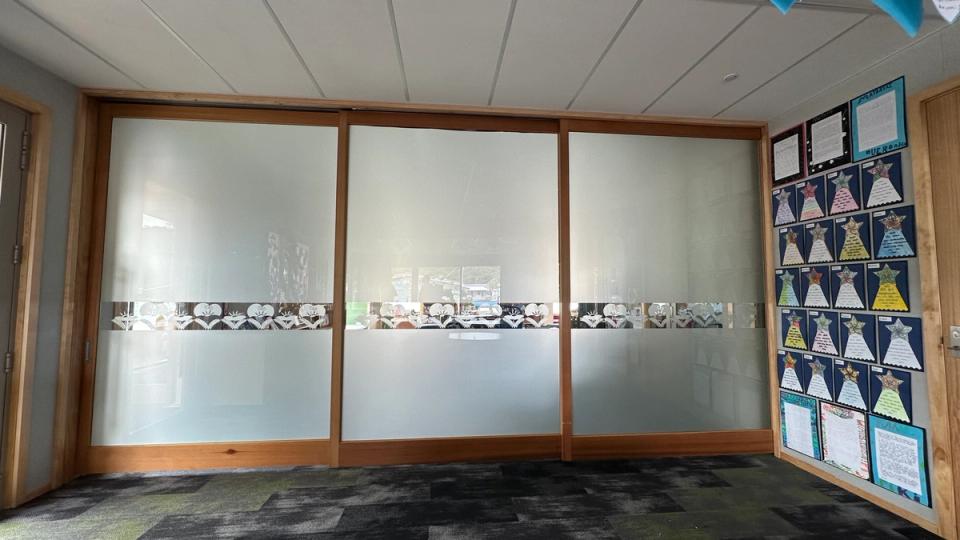 CS Door Collection System/ Overtaking Doors in Maungaraki School Library