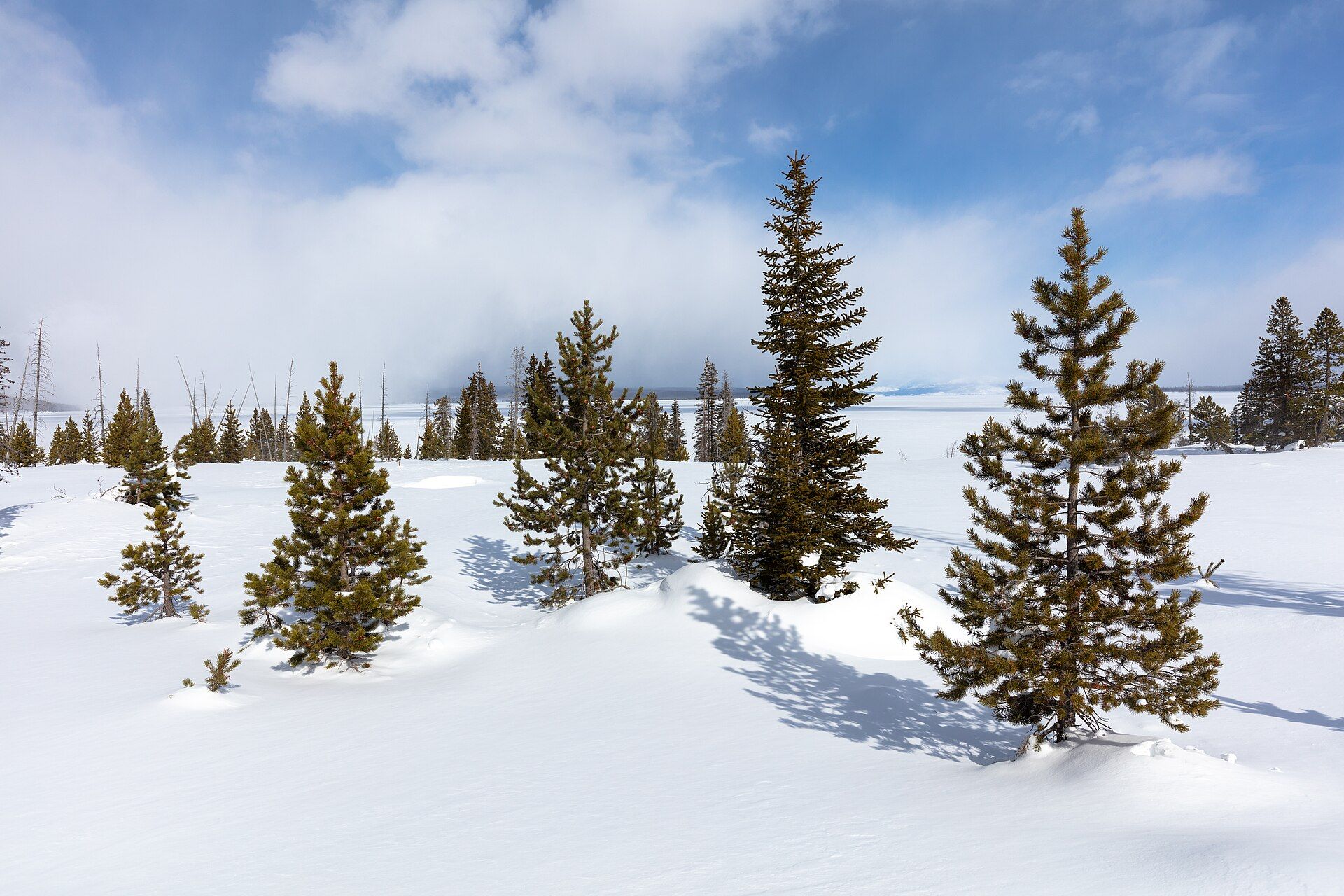 West Thumb Geyser Basin in winter
