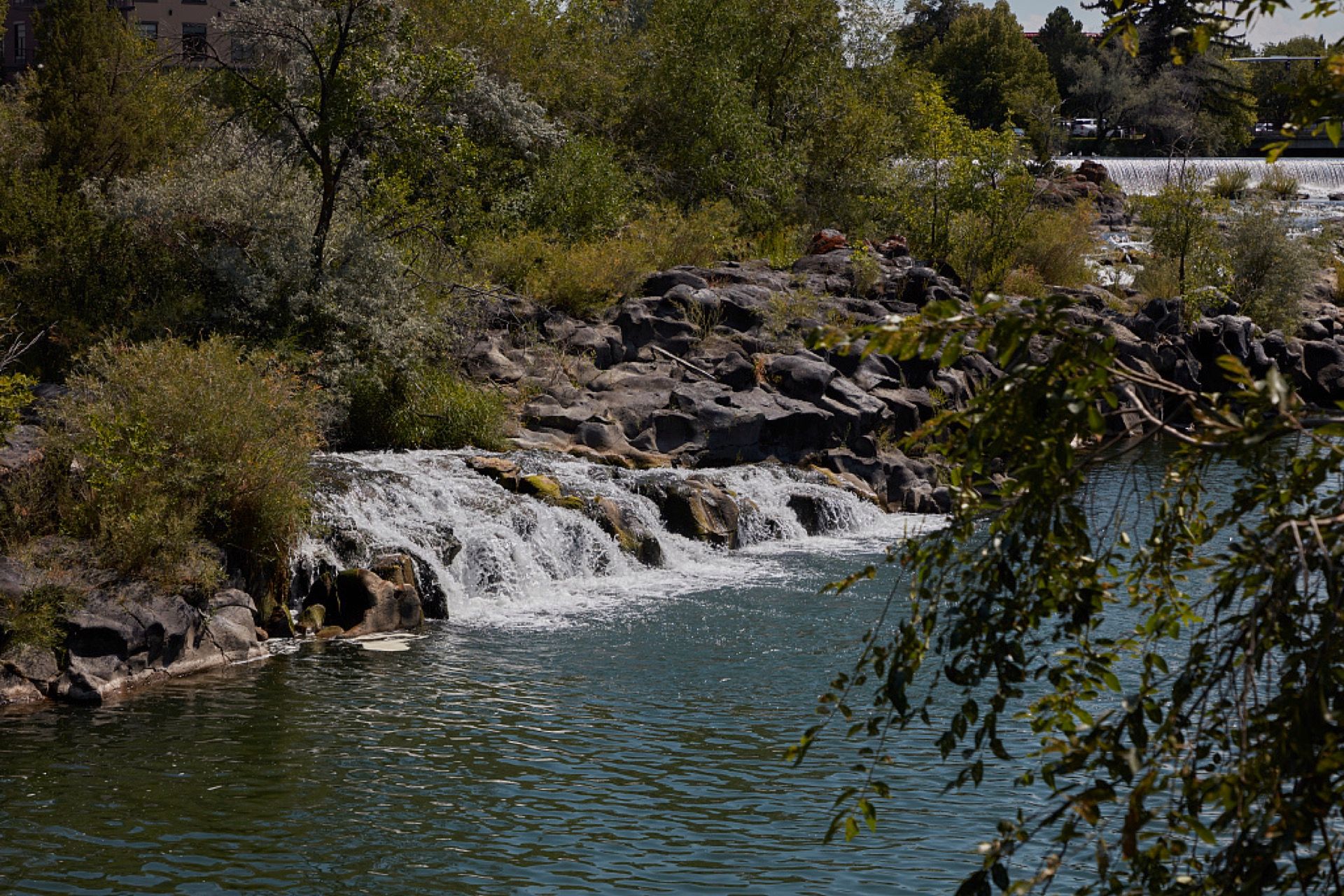 Snake River falls and greenbelt in Idaho Falls
