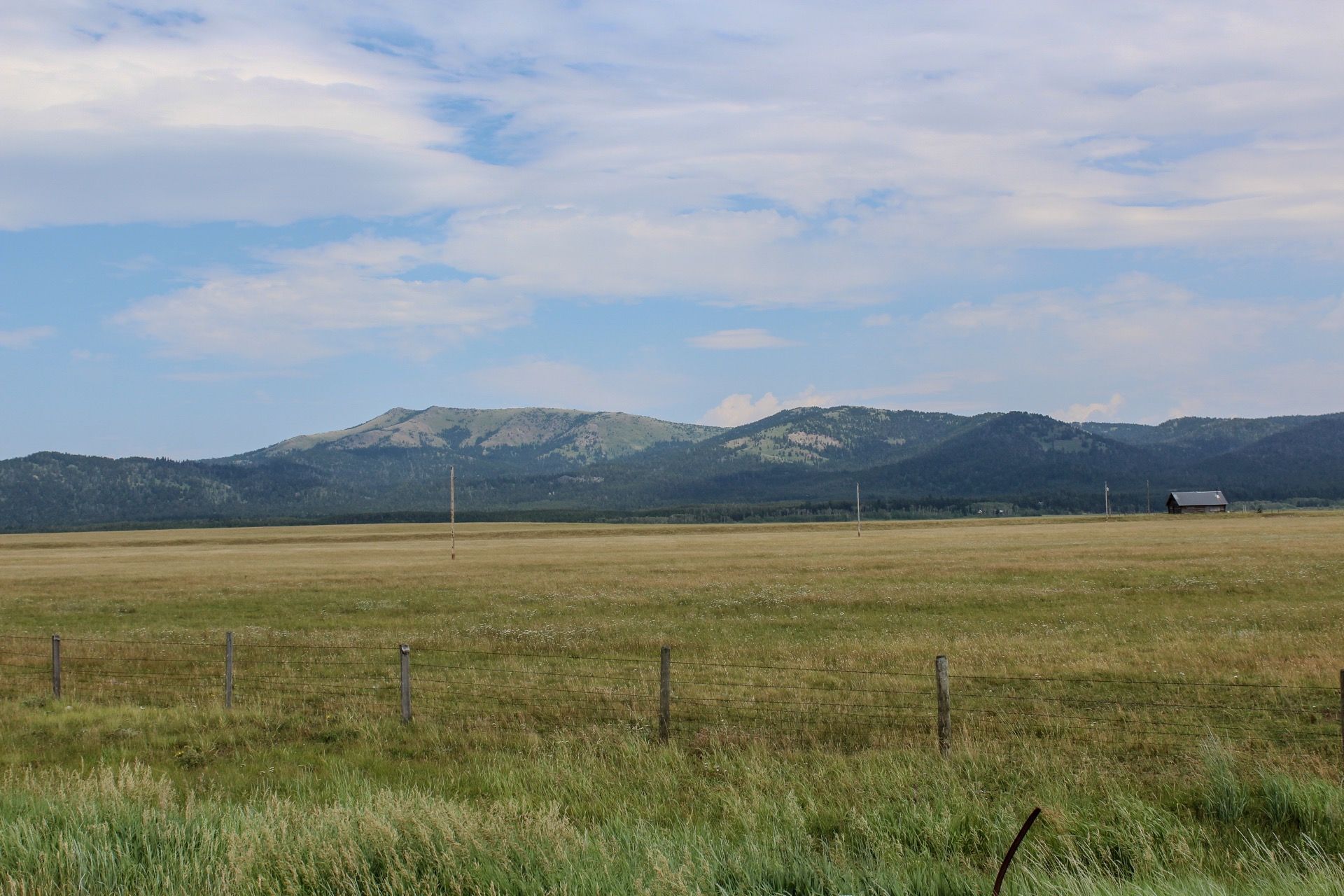 Mount Two Top and open Island Park meadow
