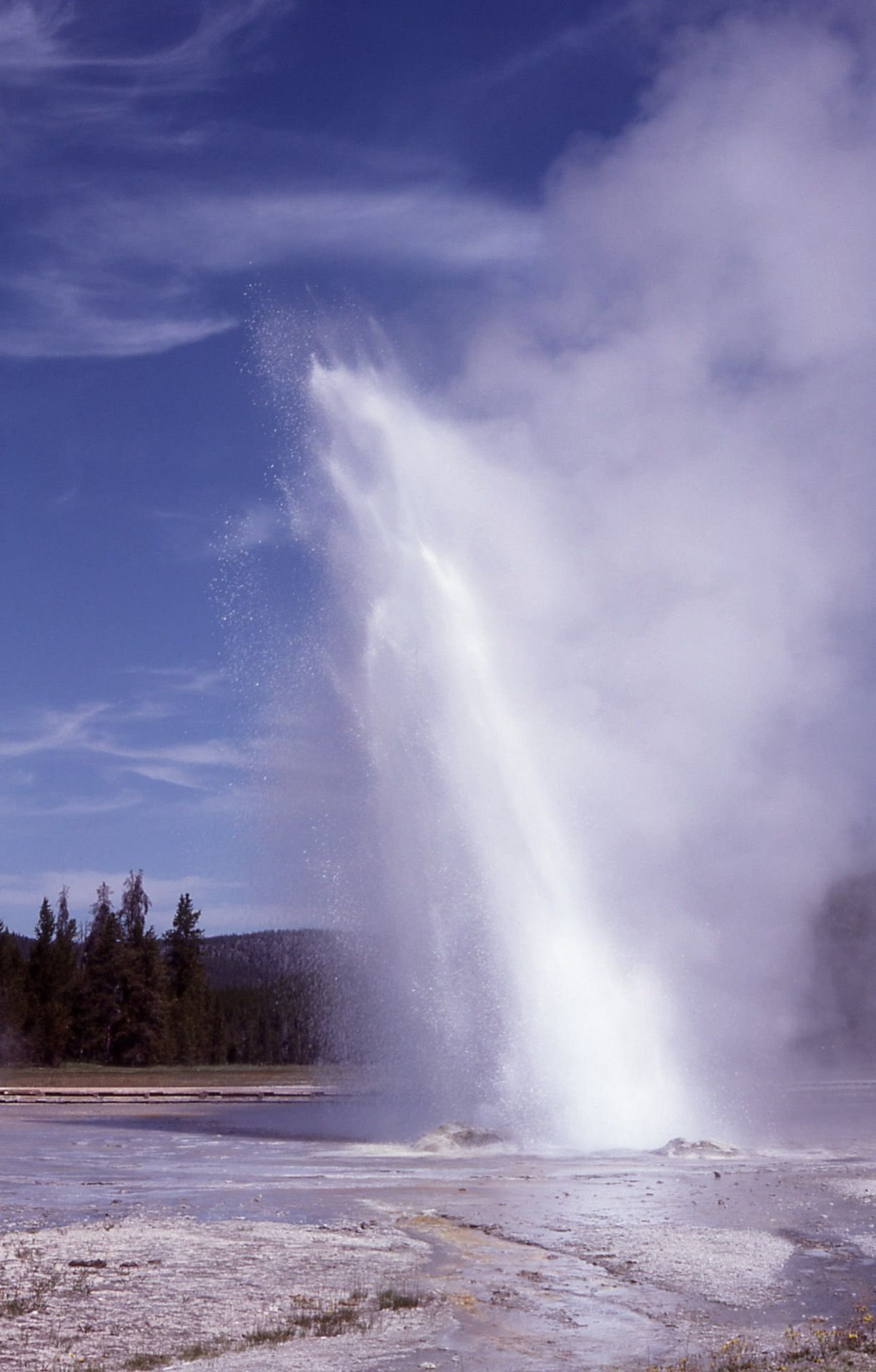 Daisy Geyser erupting in Yellowstone