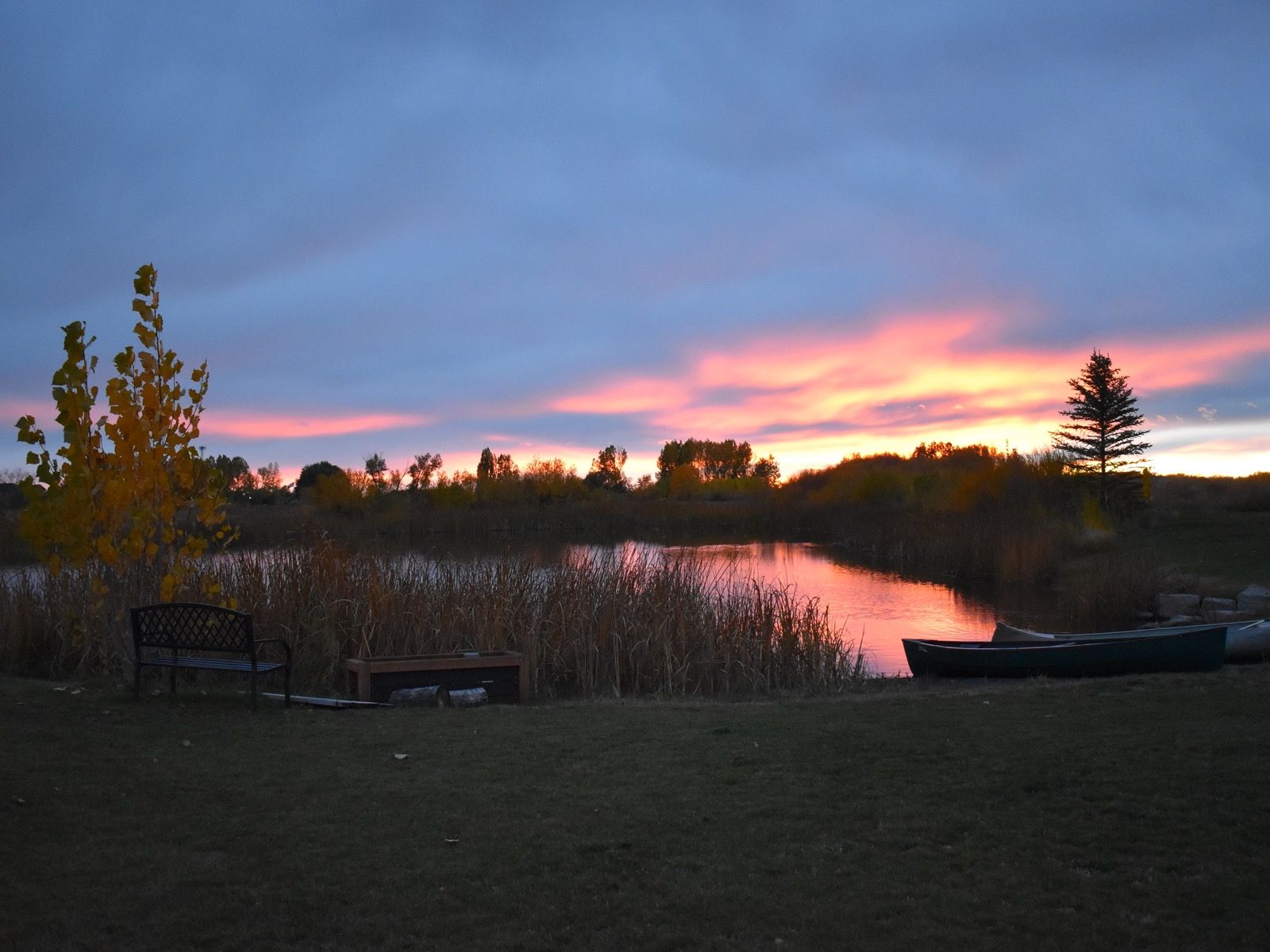 Canoes at the pond for group outdoor time