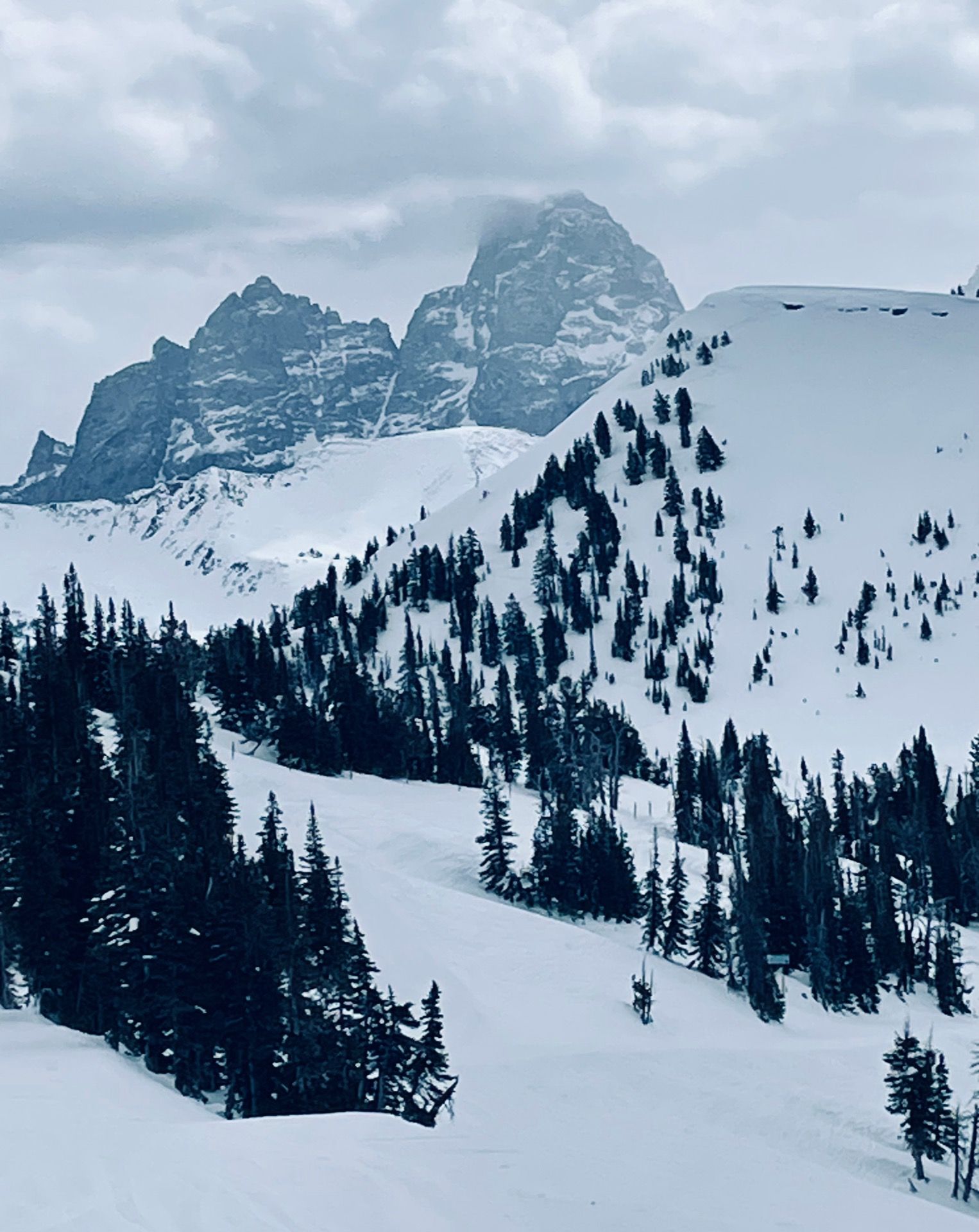 Grand Teton peaks from Grand Targhee