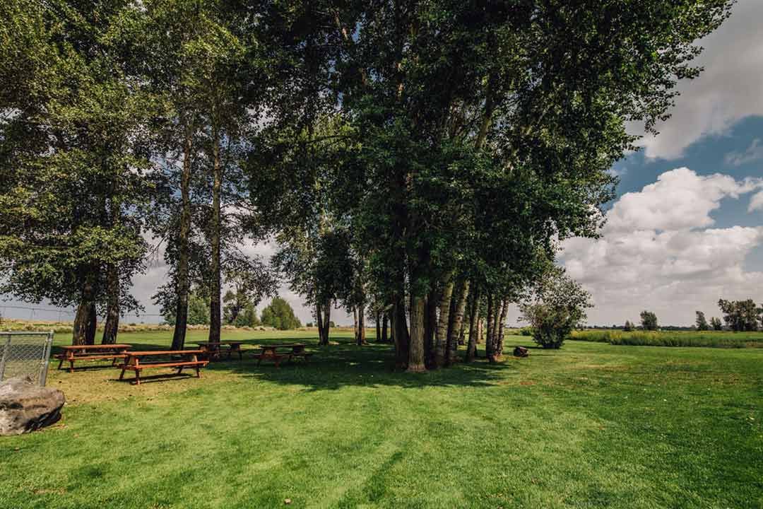 Picnic tables on the lodge lawn