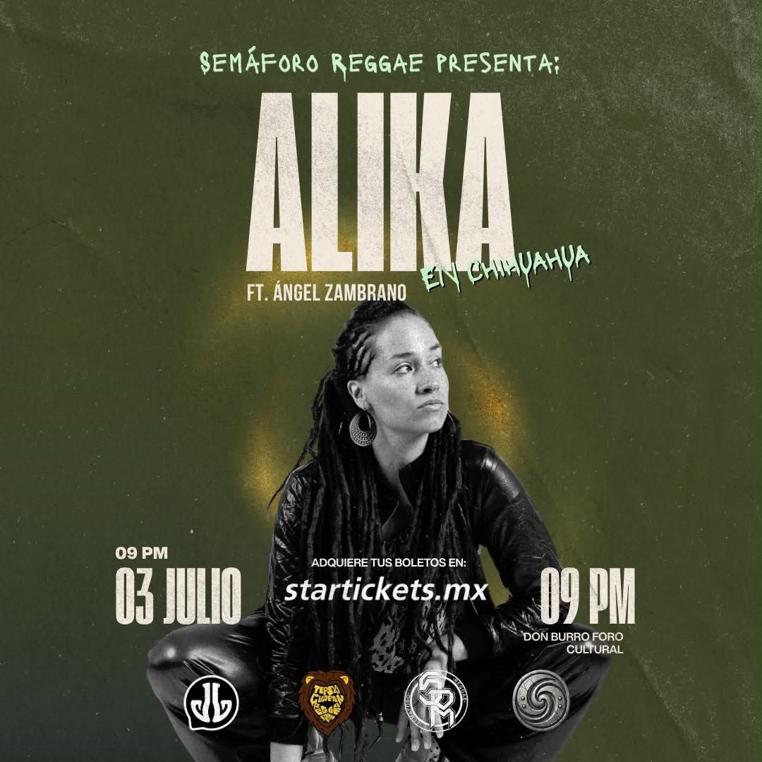 Alika Chihuahua Semaforo Reggae